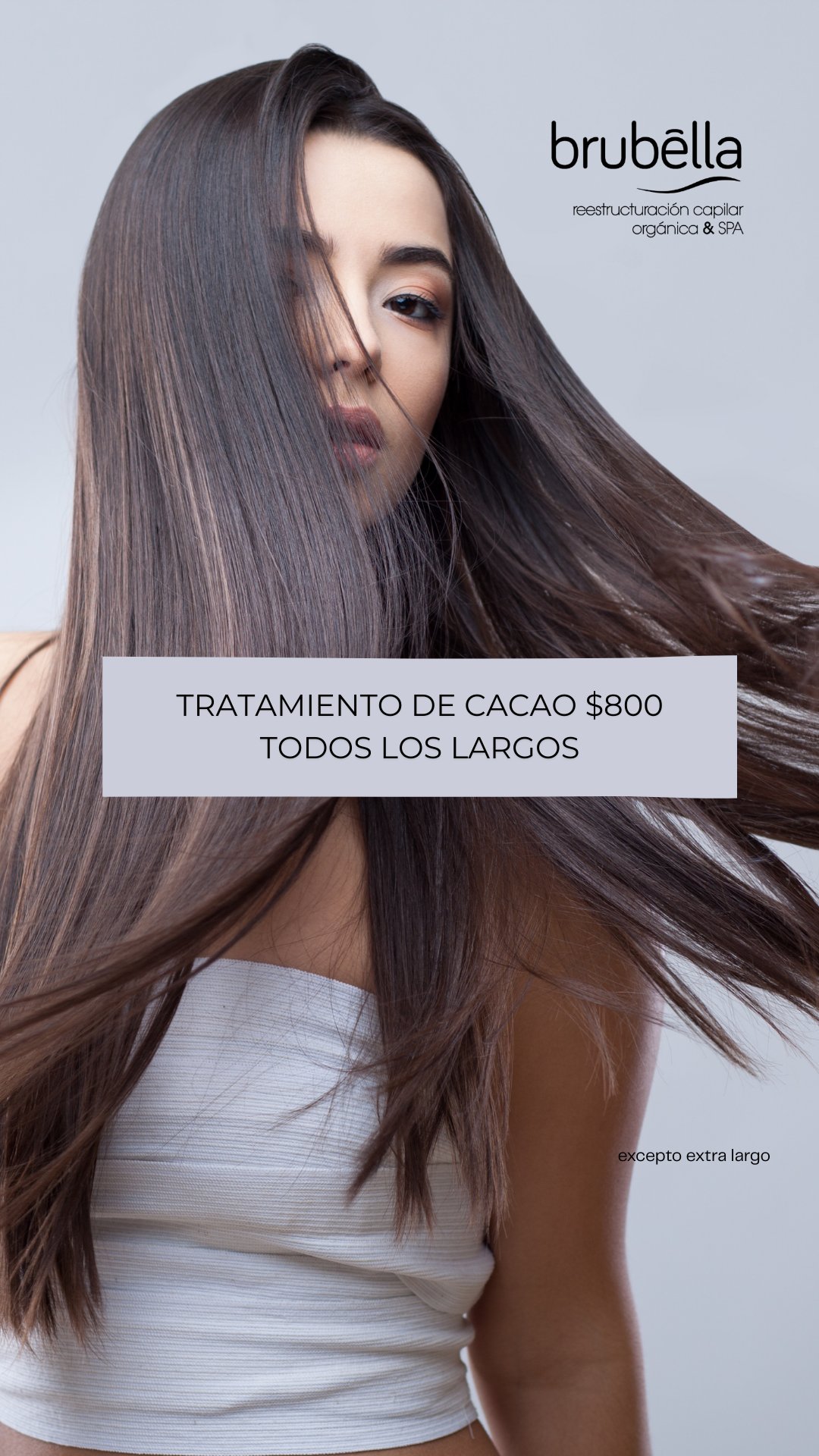 Contenido Brubella